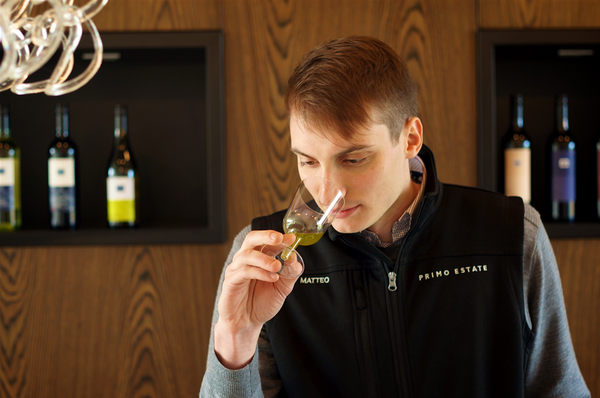 Sydney Olive Harvest Dinner