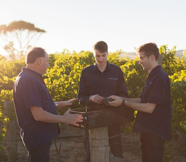 2024: A Landmark Vintage for JOSEPH