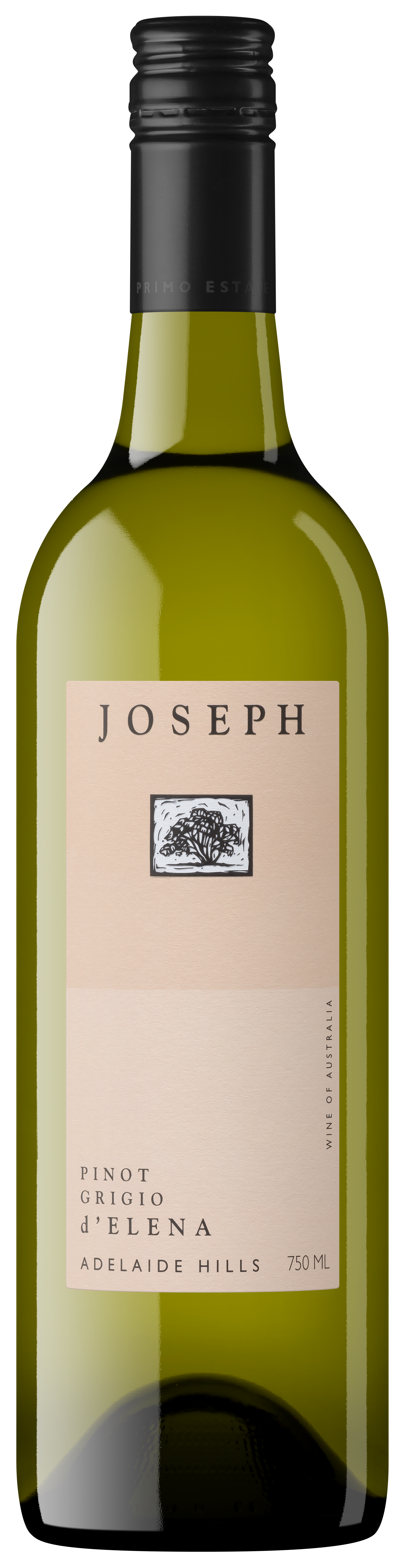 d'Elena Pinot Grigio 2025