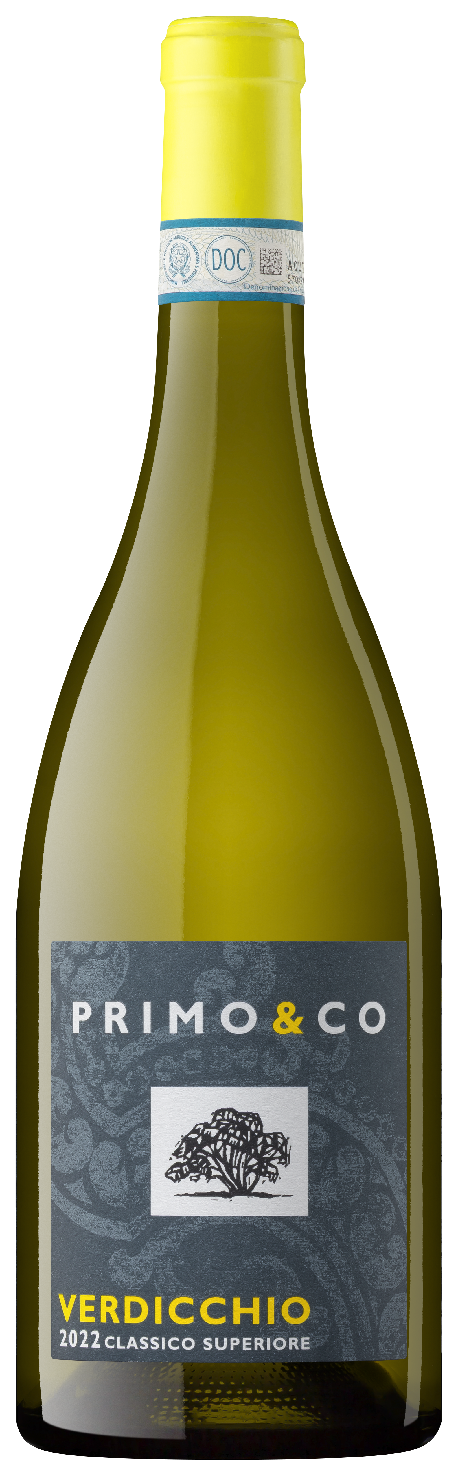 Verdicchio Classico Superiore 2022