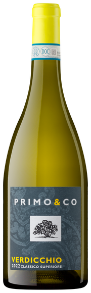 Verdicchio Classico Superiore 2022